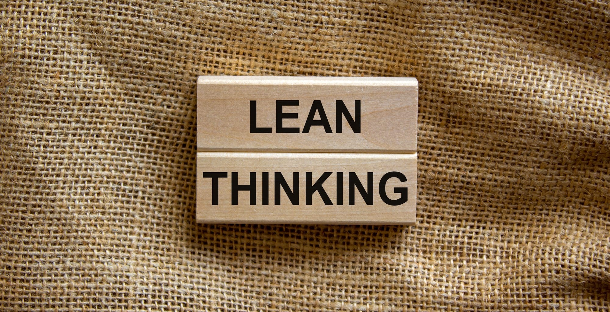 Write a Lean Business Plan with this Template