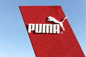 puma-pestle-analysis-sportswear