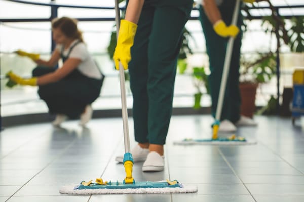 PESTLE Analysis For A Cleaning Company in 2024