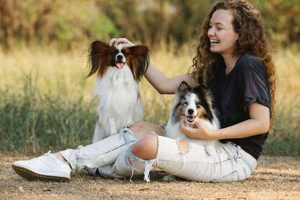 PESTLE Analysis of The Pet Industry: Main Challenges for a Pet Business